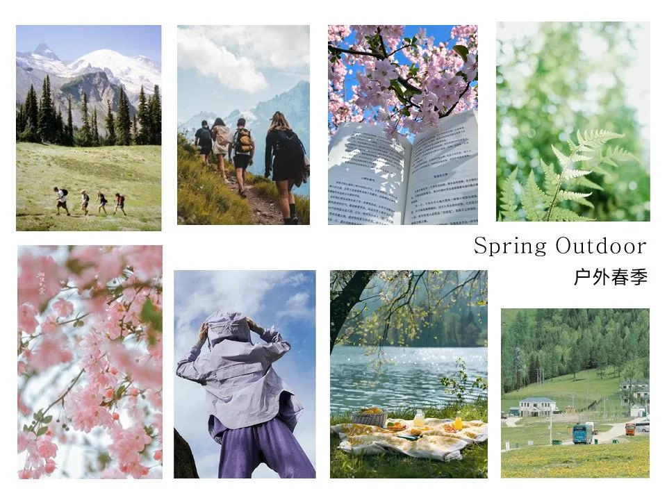 春 · 浪漫紫 Mood Board